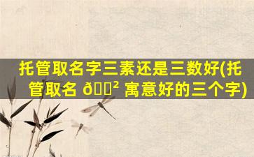 托管取名字三素还是三数好(托管取名 🌲 寓意好的三个字)